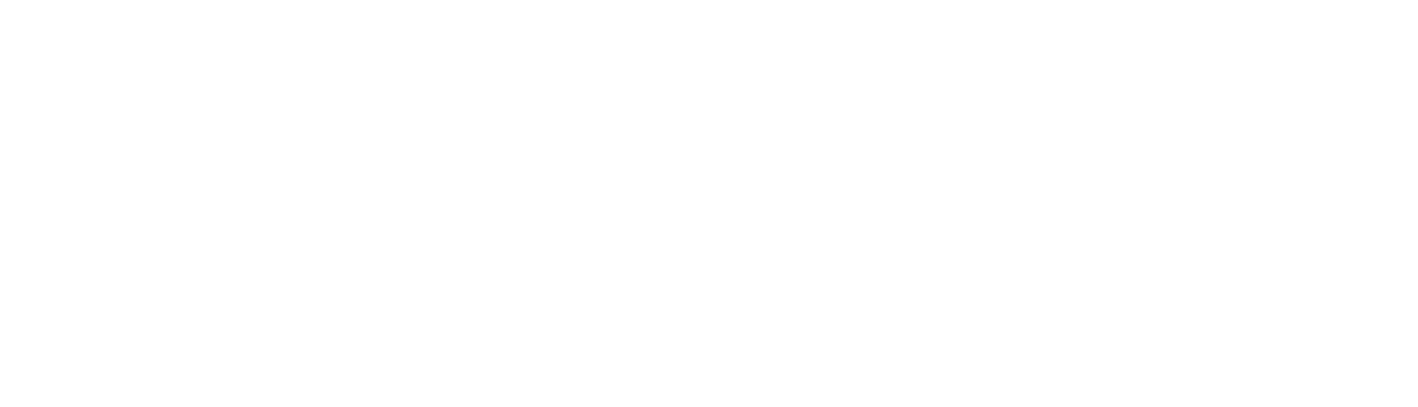 Logo Aptitud Chile blanco jpeg.
